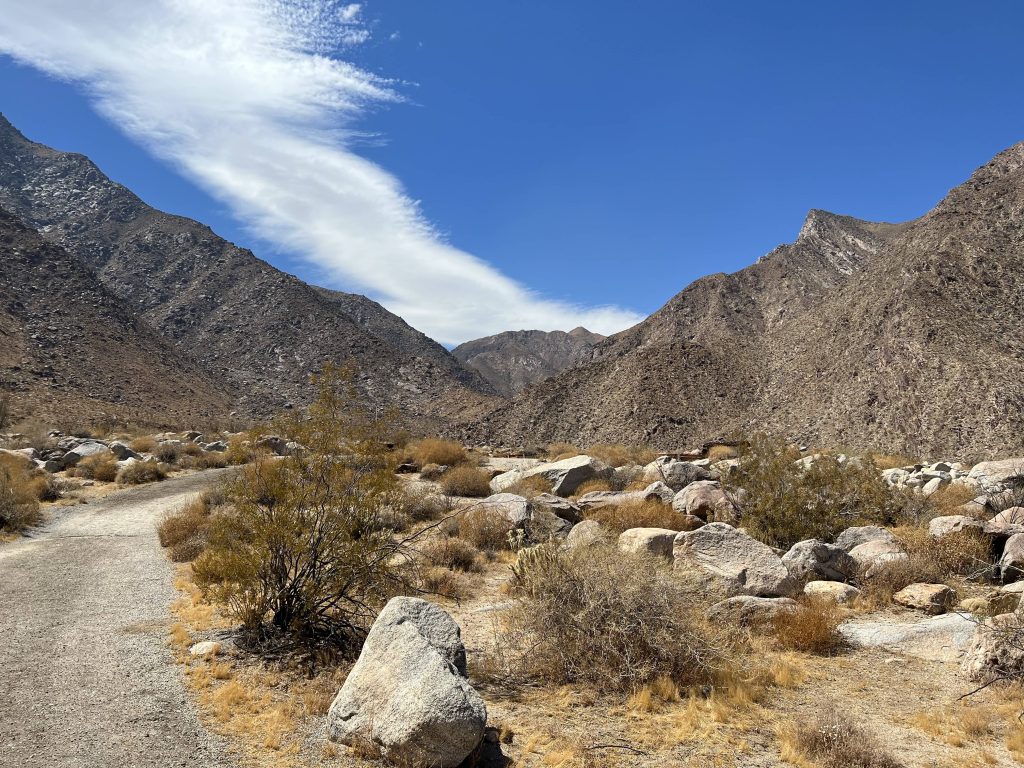 Desert Backdrop