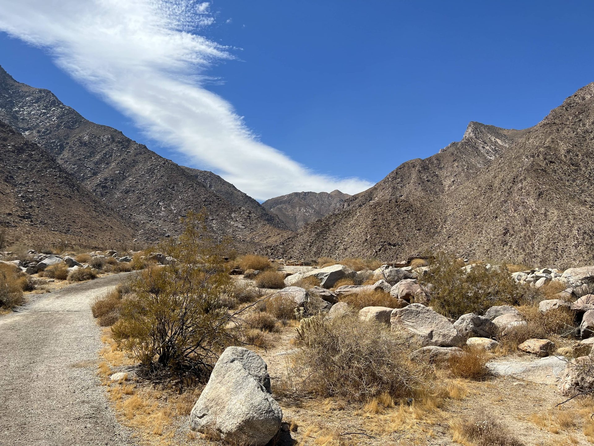 Desert Backdrop